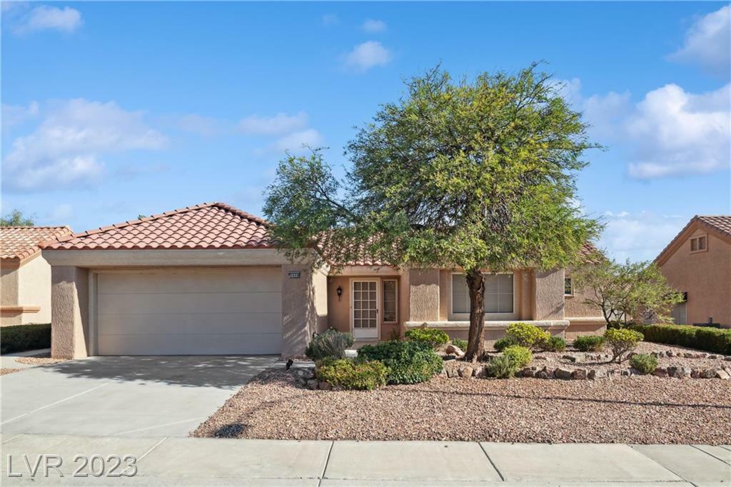 Property Photo: 9408 Yucca Blossom Drive NV 89134
