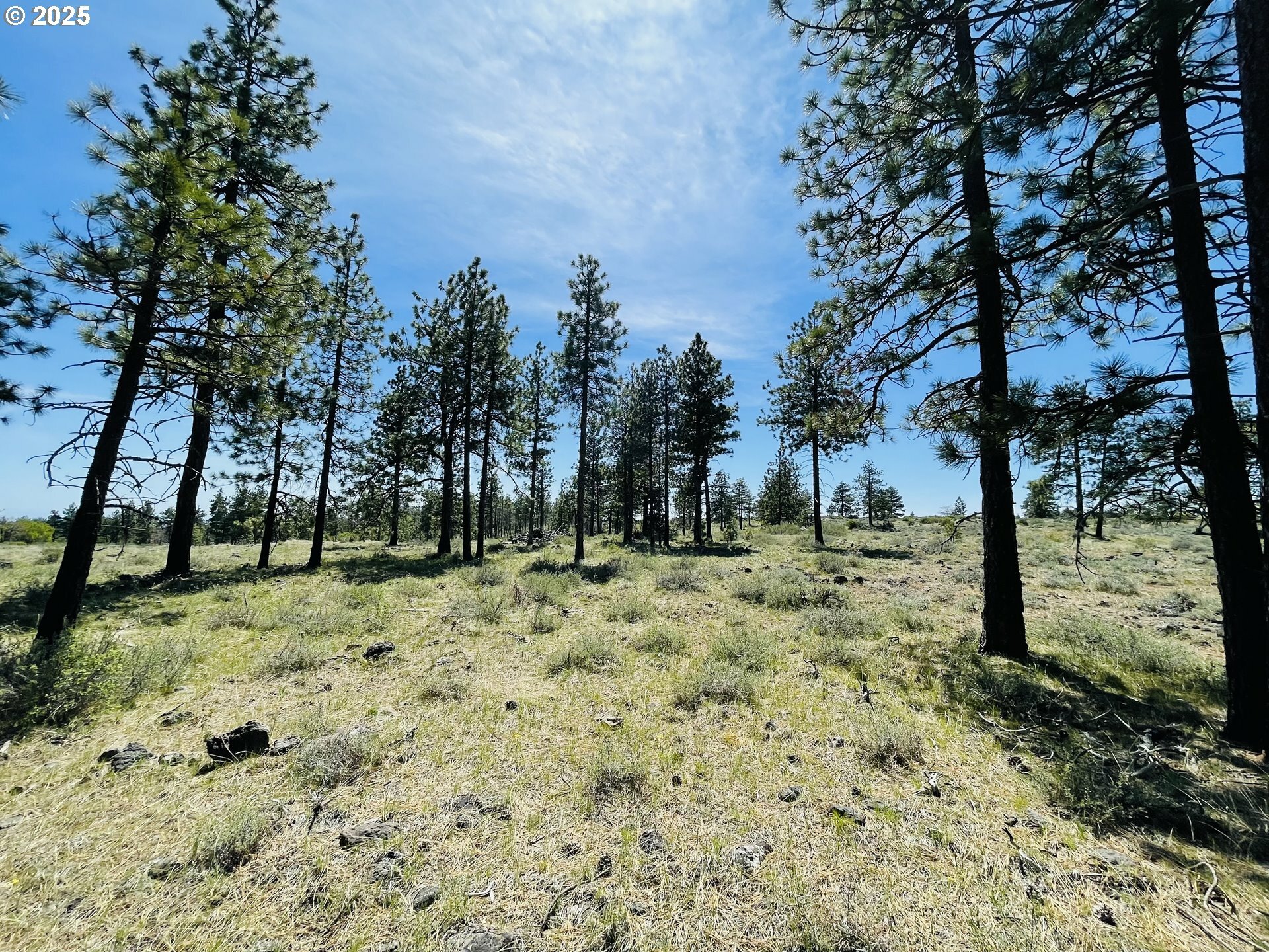 Property Photo: Jensen Quarry Rd WA 99322