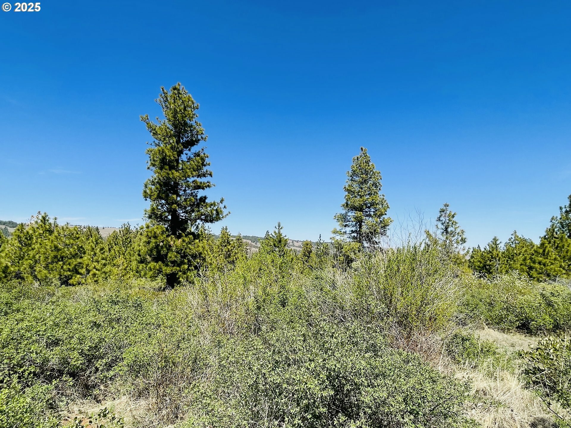 Property Photo: Jensen Quarry Rd WA 99322