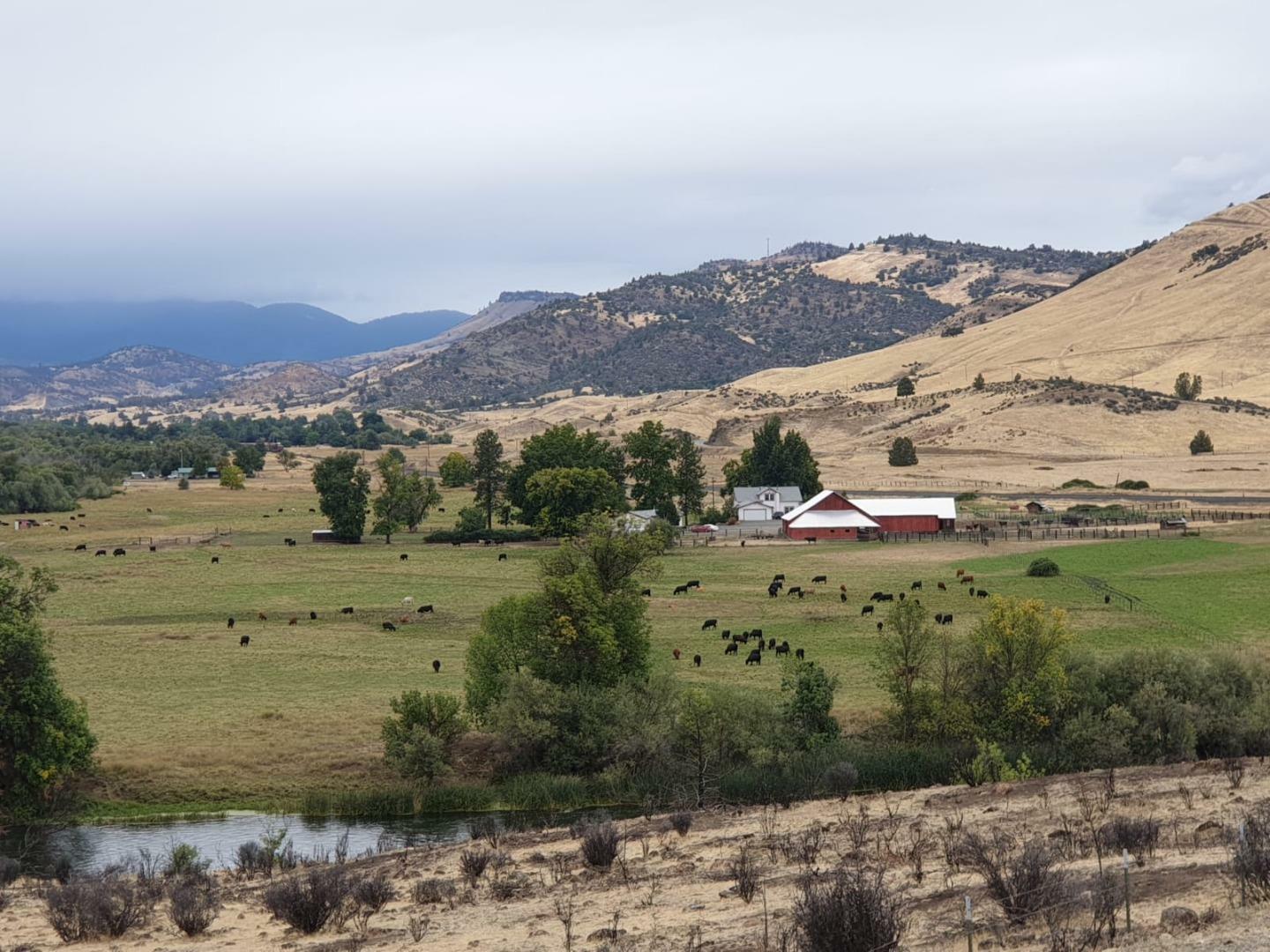 1224 Copco Road  Hornbrook CA 96044 photo