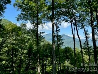 Property Photo:  20 Tsalagi Trail  NC 28751 