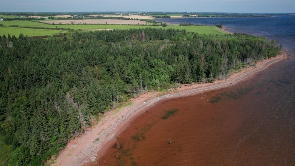 Photo de la propriété: Bayside PE C0B 1Y0