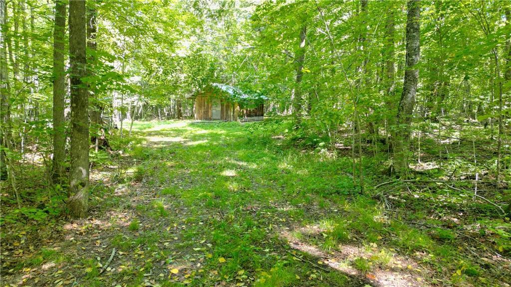 80 Acres Cth I  Ladysmith WI 54848 photo
