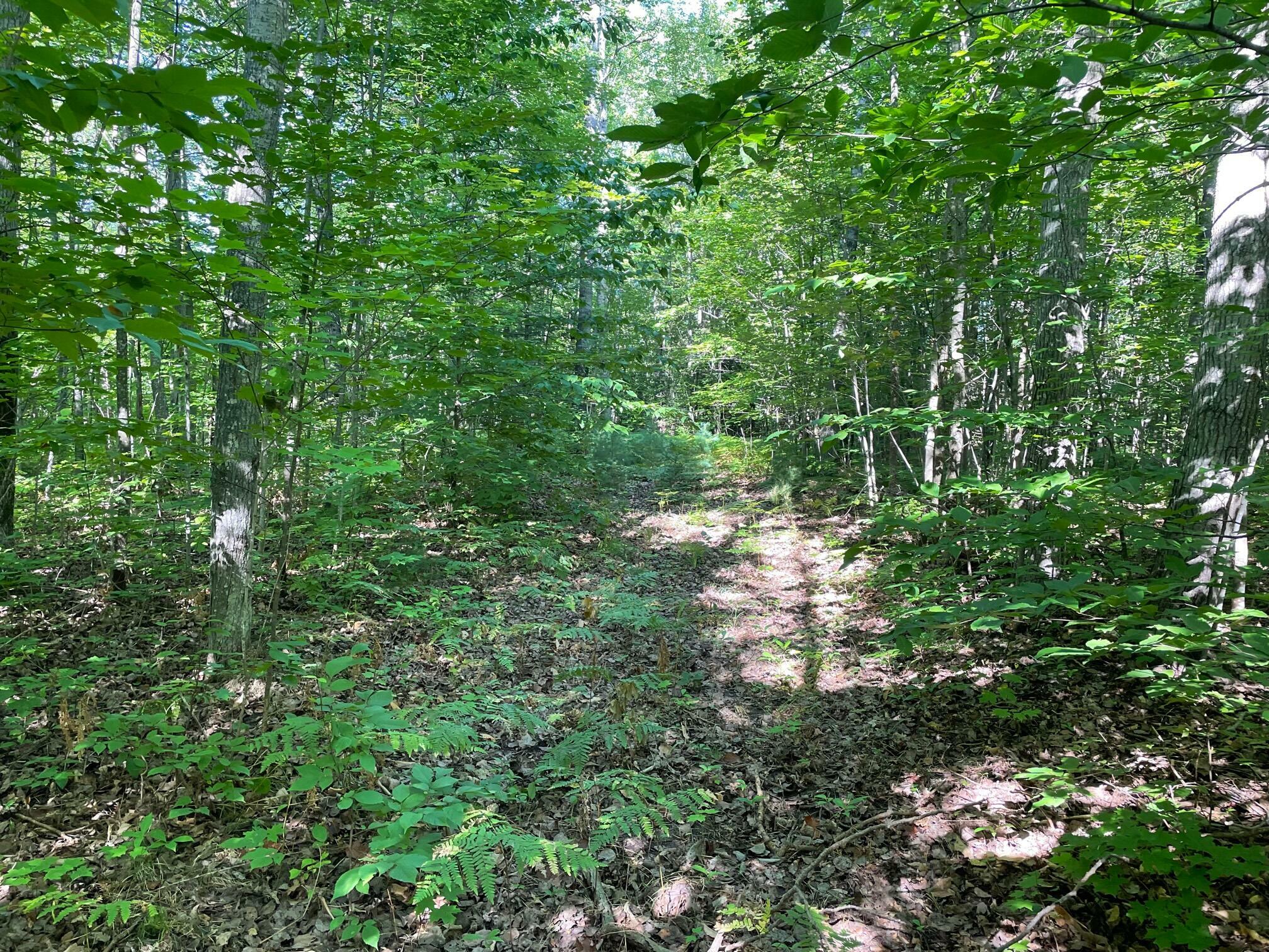 Property Photo:  11892 Davis Creek Drive  MI 49799 