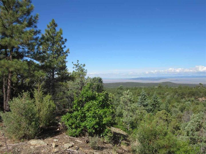 Property Photo: Dh Lawrence Road NM 87564