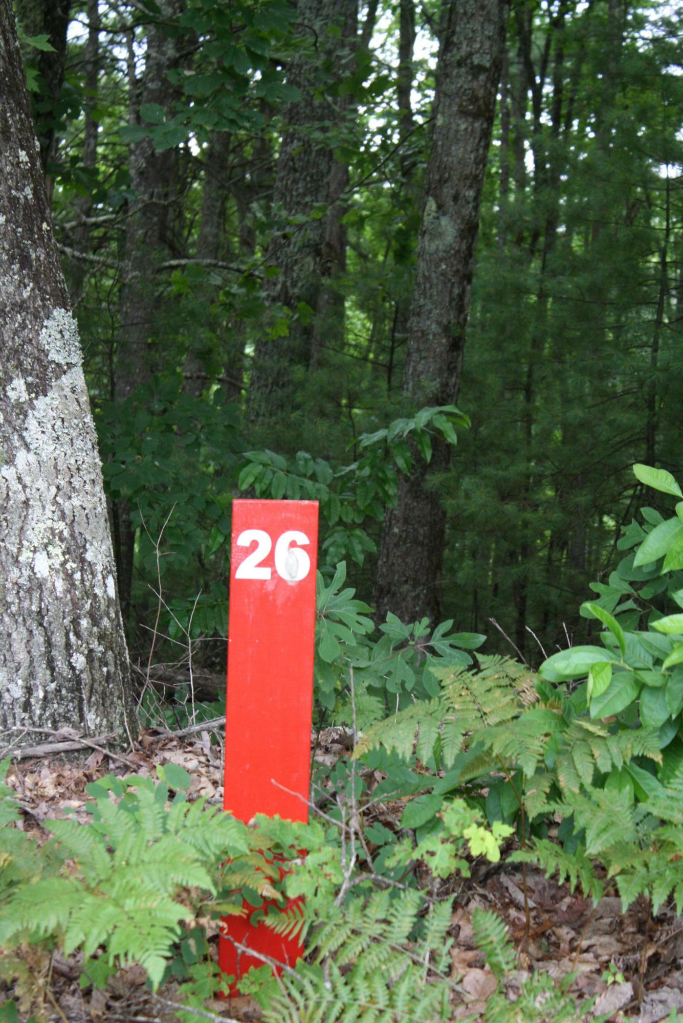 Property Photo:  Lot 26 Old St Clair Road Pipestem Pointe  WV 25979 