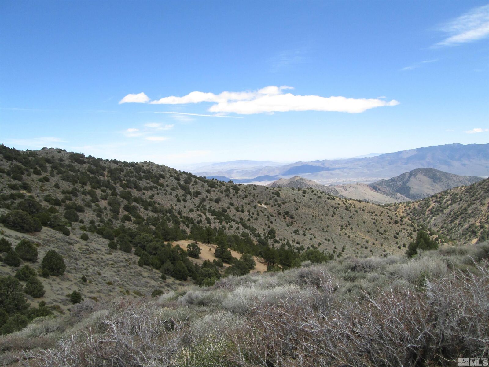 Property Photo: 00430125 Mt. Davidson NV 89440