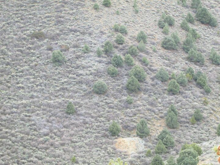 Property Photo: 00430124 Mount Davidson NV 89440