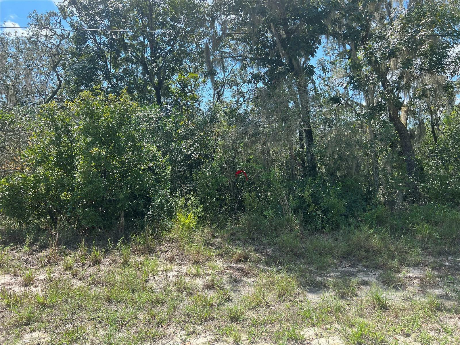 Property Photo:  0 Riverstone St  FL 33597 