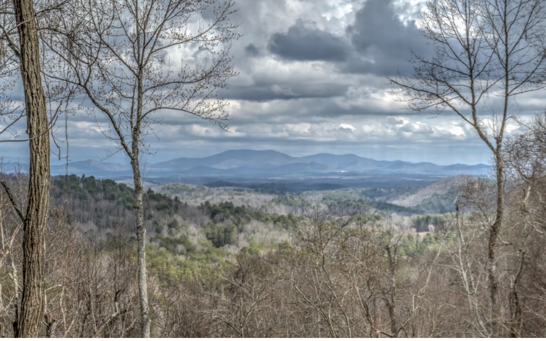 Property Photo:  401 Dancing Leaves Trail  GA 30513 