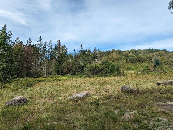 Property Photo:  901 Keiser Pond Road  VT 05862 