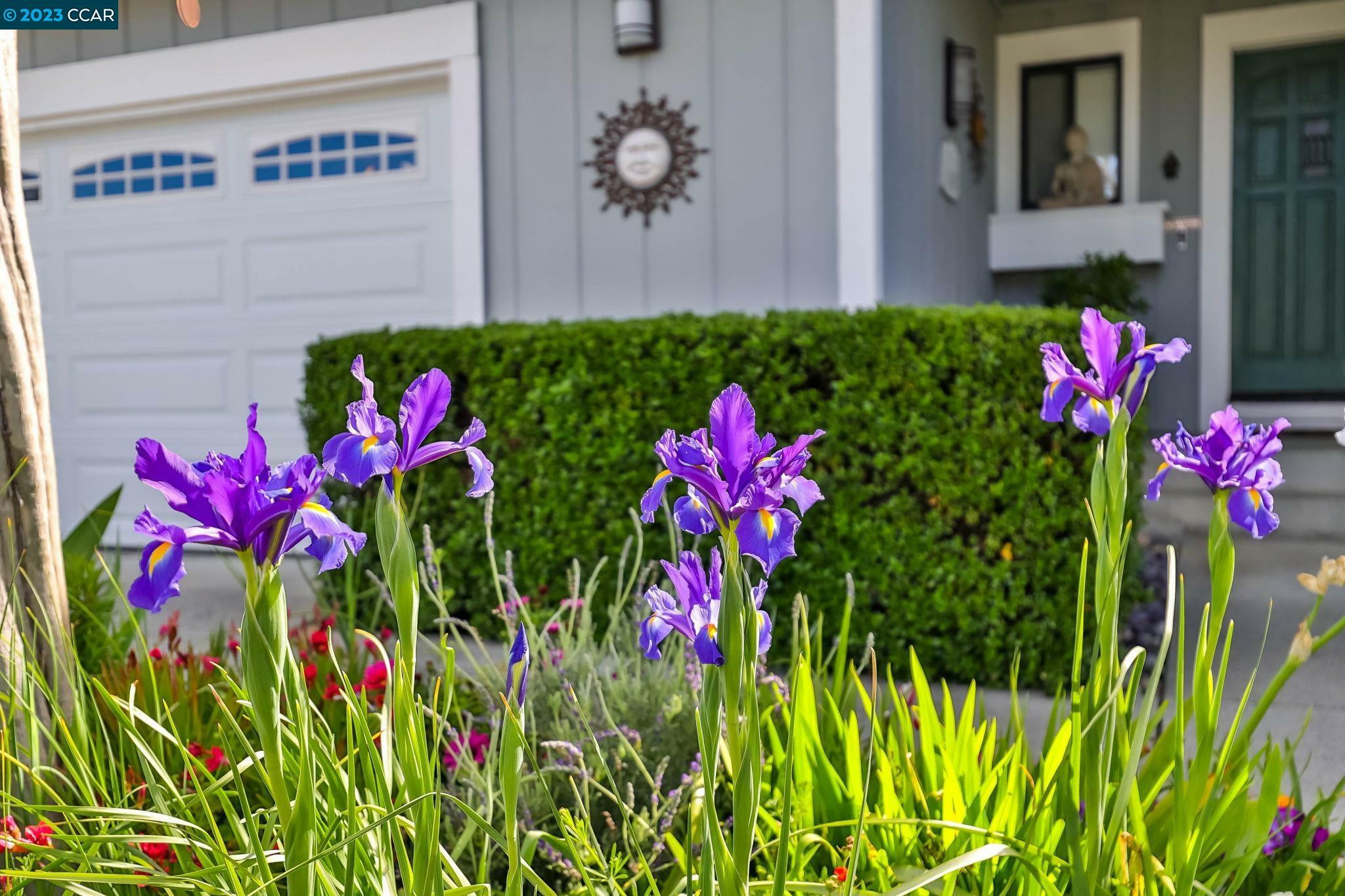 Property Photo: 115 Julian Way CA 94523