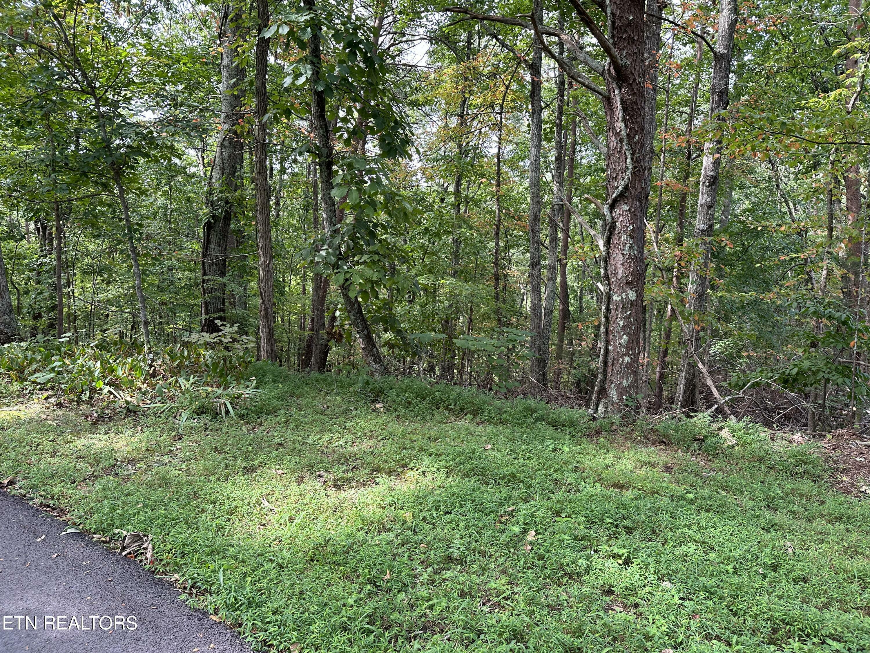 Property Photo:  Smoky Mountain View Drive  TN 37865 