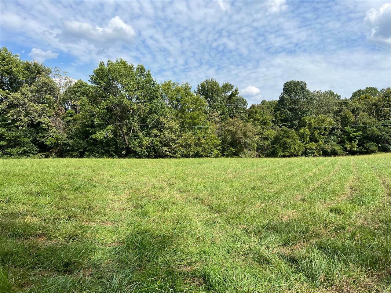 Property Photo:  Tract 3 Old Gainesville Road  KY 42164 