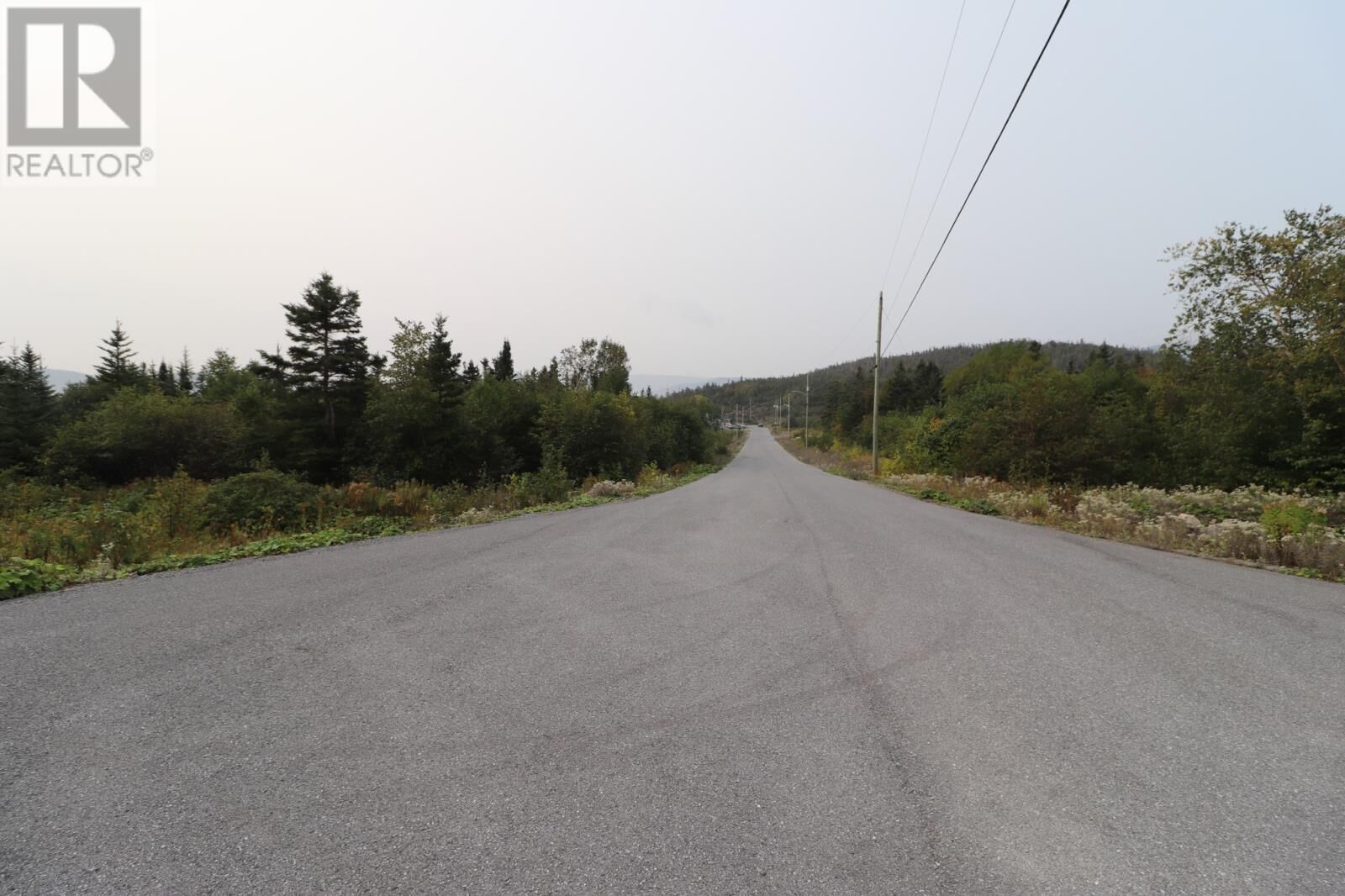Property Photo:  10 Hollands Memorial Drive  NL A0K 3V0 