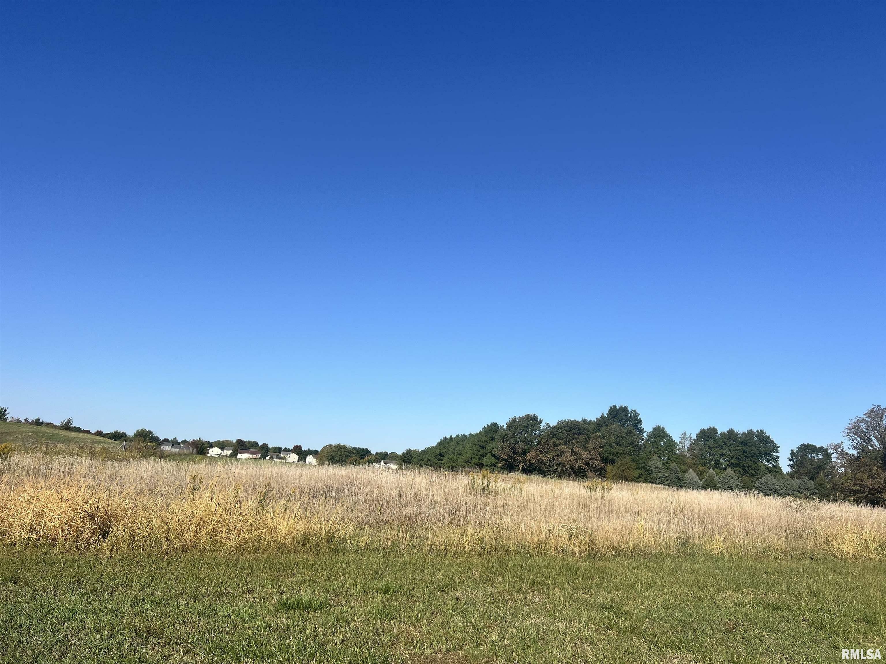 Property Photo: Lot 91 Kyle Court IL 61548