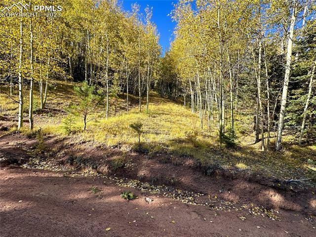 Property Photo: 1386 Monarch Drive CO 80813