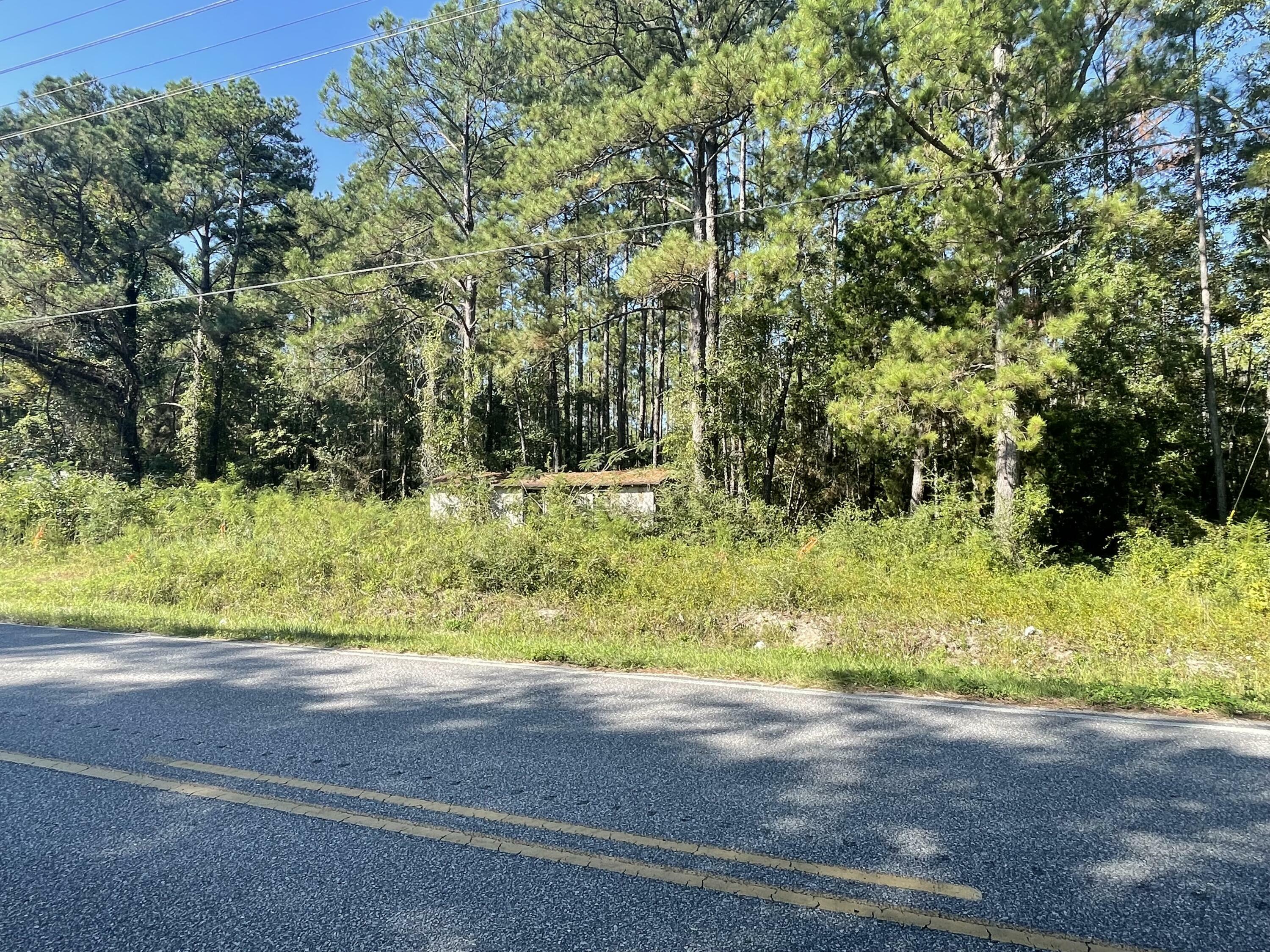 Property Photo:  323 Black Creek Boulevard  FL 32439 