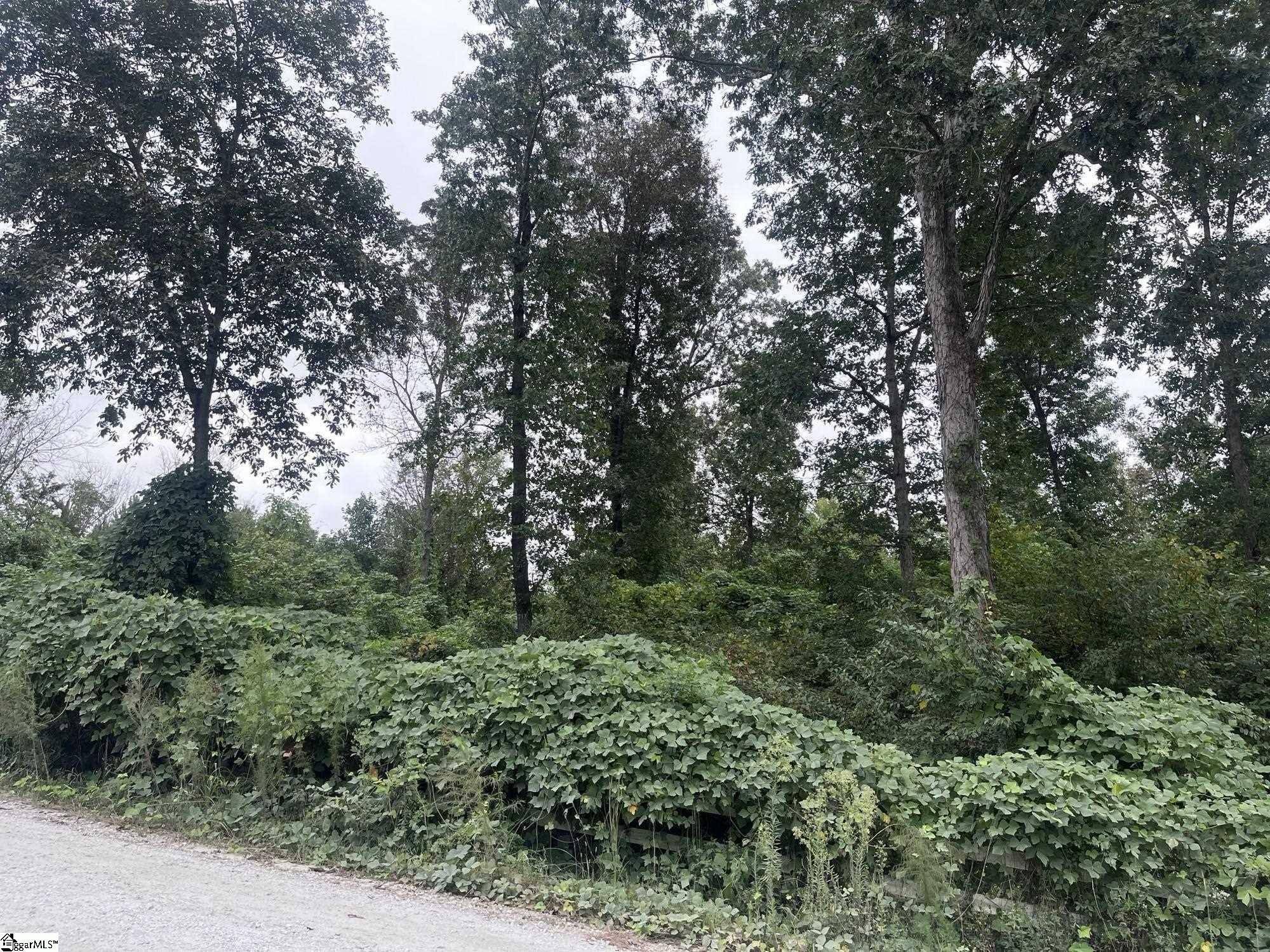 Property Photo:  000 Riverbend Road Lot 35  SC 29643 