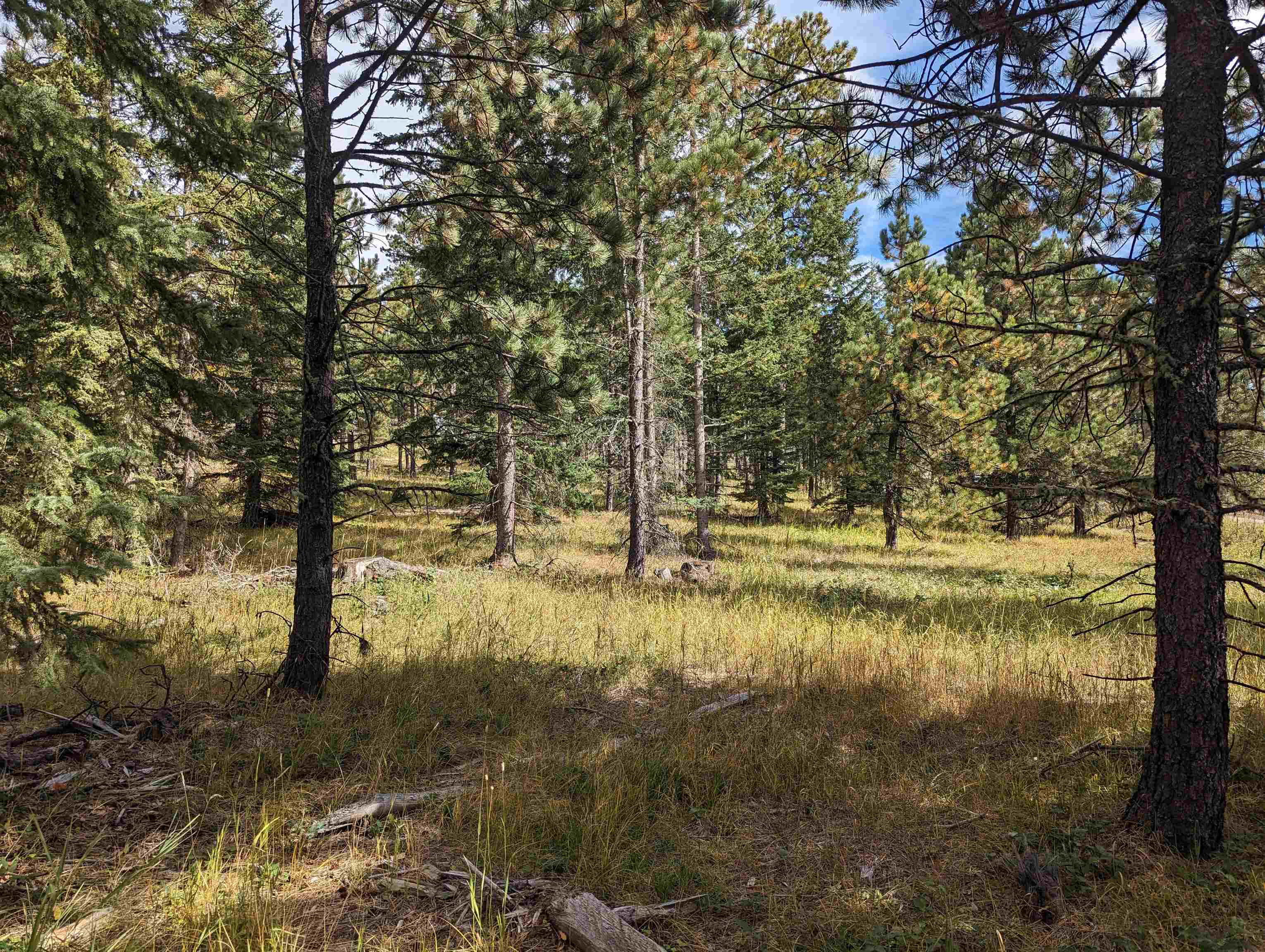 Property Photo:  Lot 3 Block 11 Westwind Ct.  SD 57754 