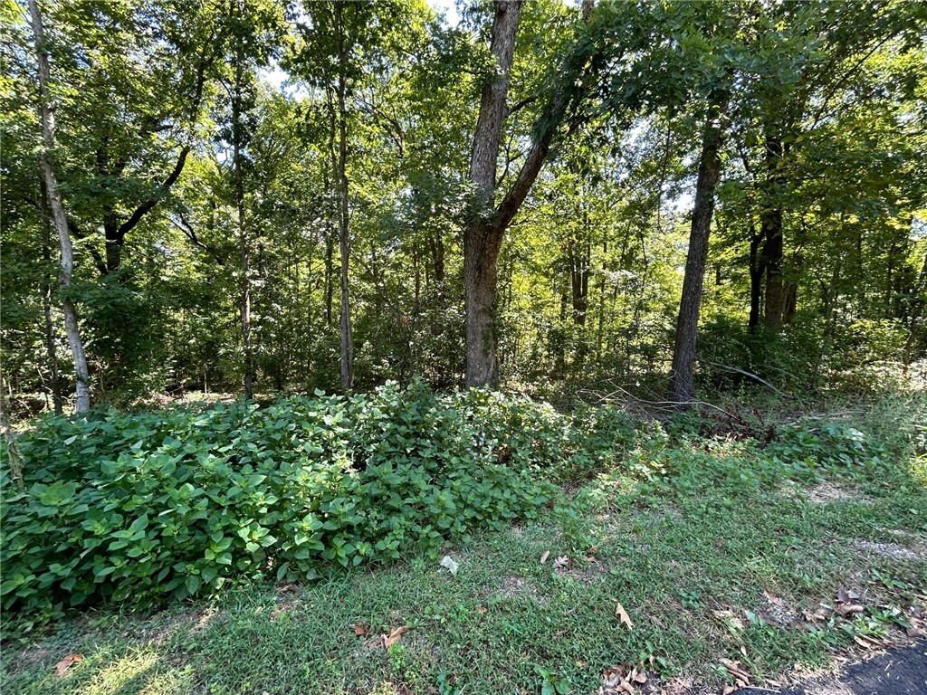 Property Photo:  Jackson Lane  AR 72715 