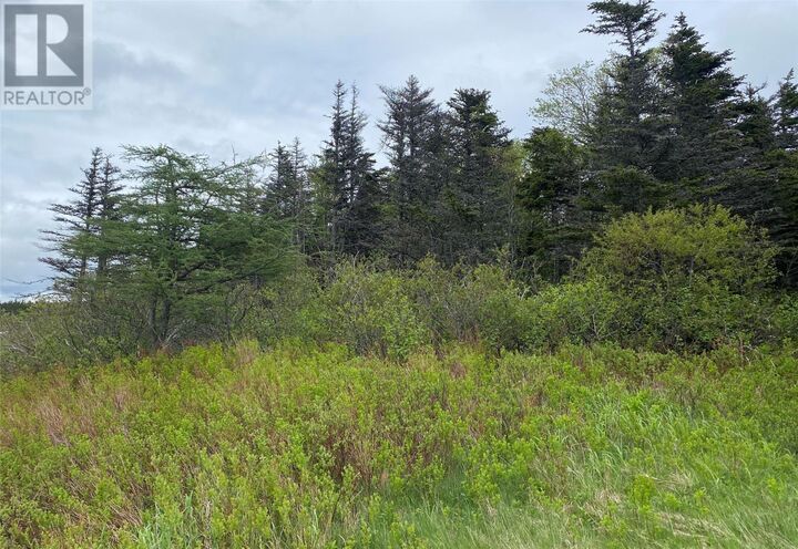 Property Photo:  73 Cameron Place  NL A1K 1C8 