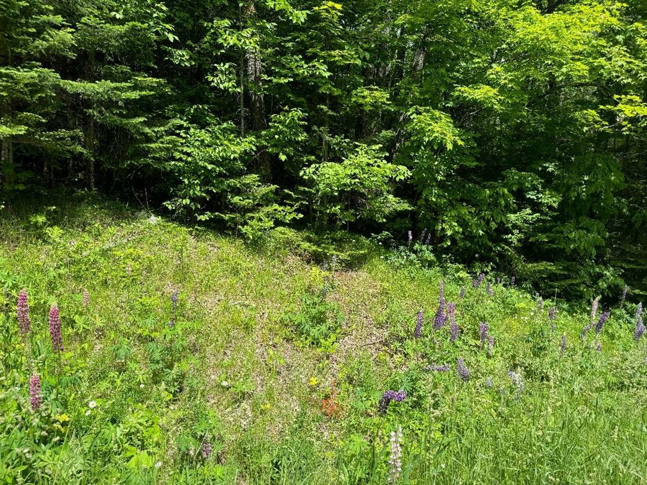 Property Photo:  On Cth Ff 1.5 Acres  WI 54547 