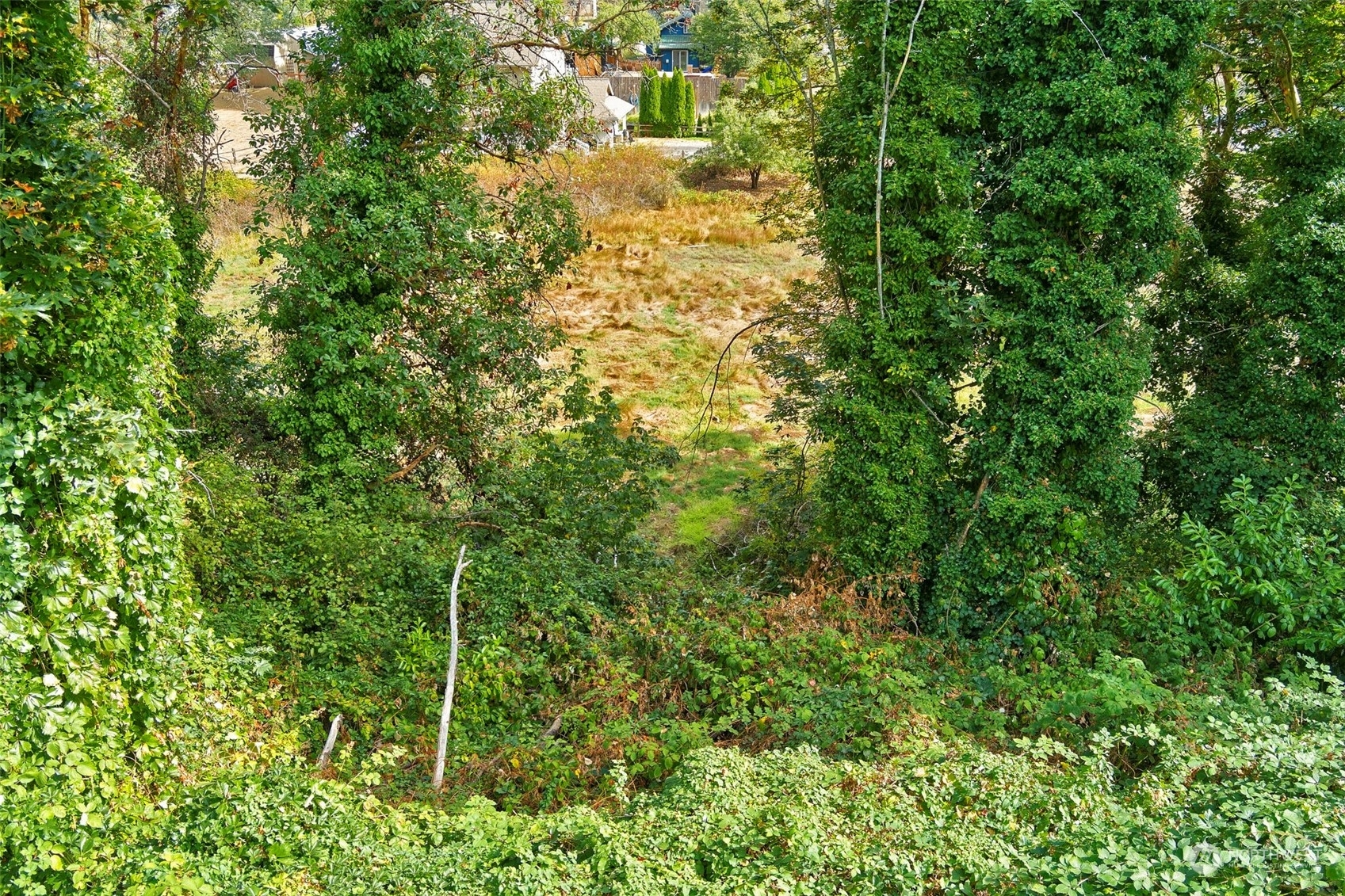 Property Photo: 0 Xxx Marine Drive WA 98312