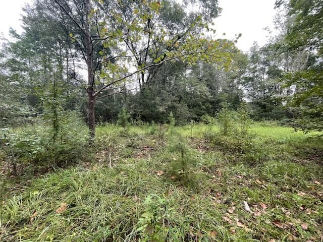 Property Photo: 6757 Veterans Memorial Drive FL 32309