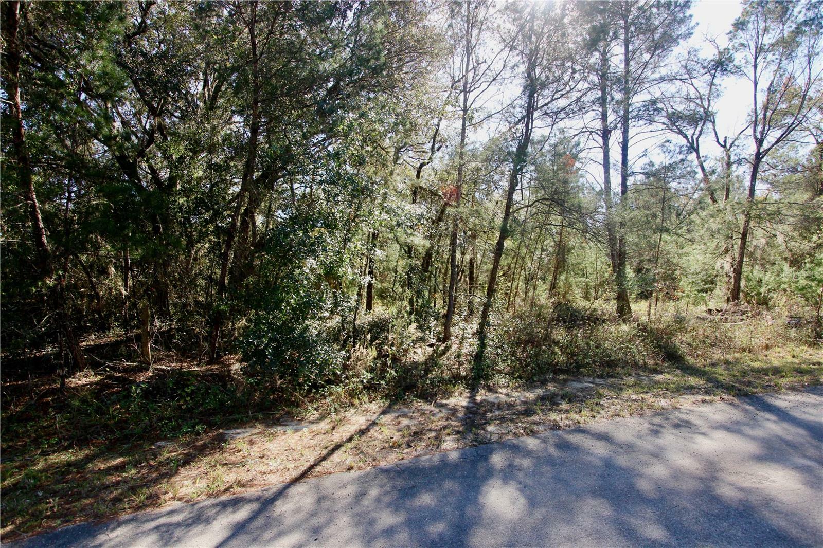 Property Photo:  SW Fisher Course  FL 32179 