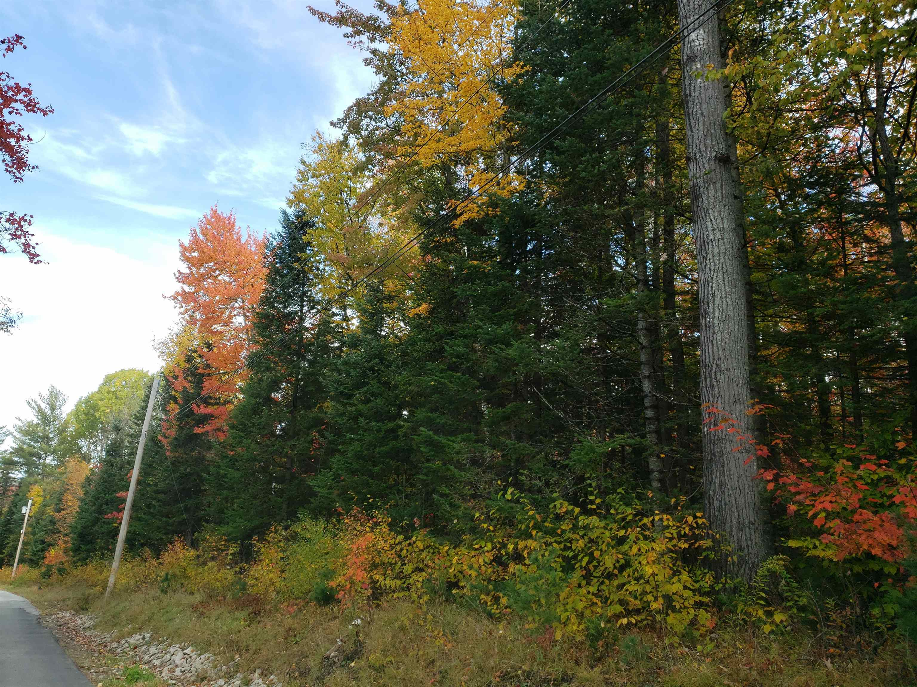 Property Photo:  Lot 39 Route 302/Parker Road  NH 03574 