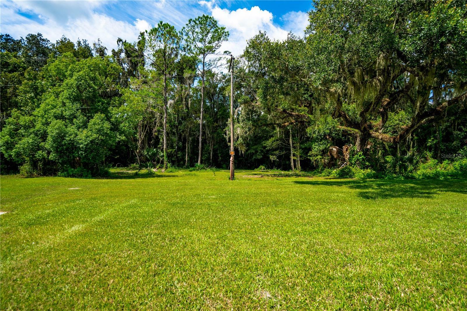 Property Photo:  1525 Ponce De Leon Boulevard  FL 34601 