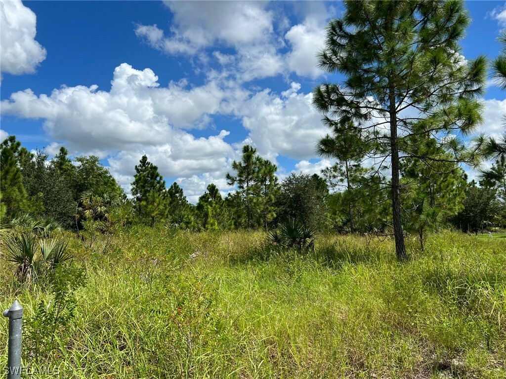 Property Photo:  705 Mindora Avenue  FL 33972 