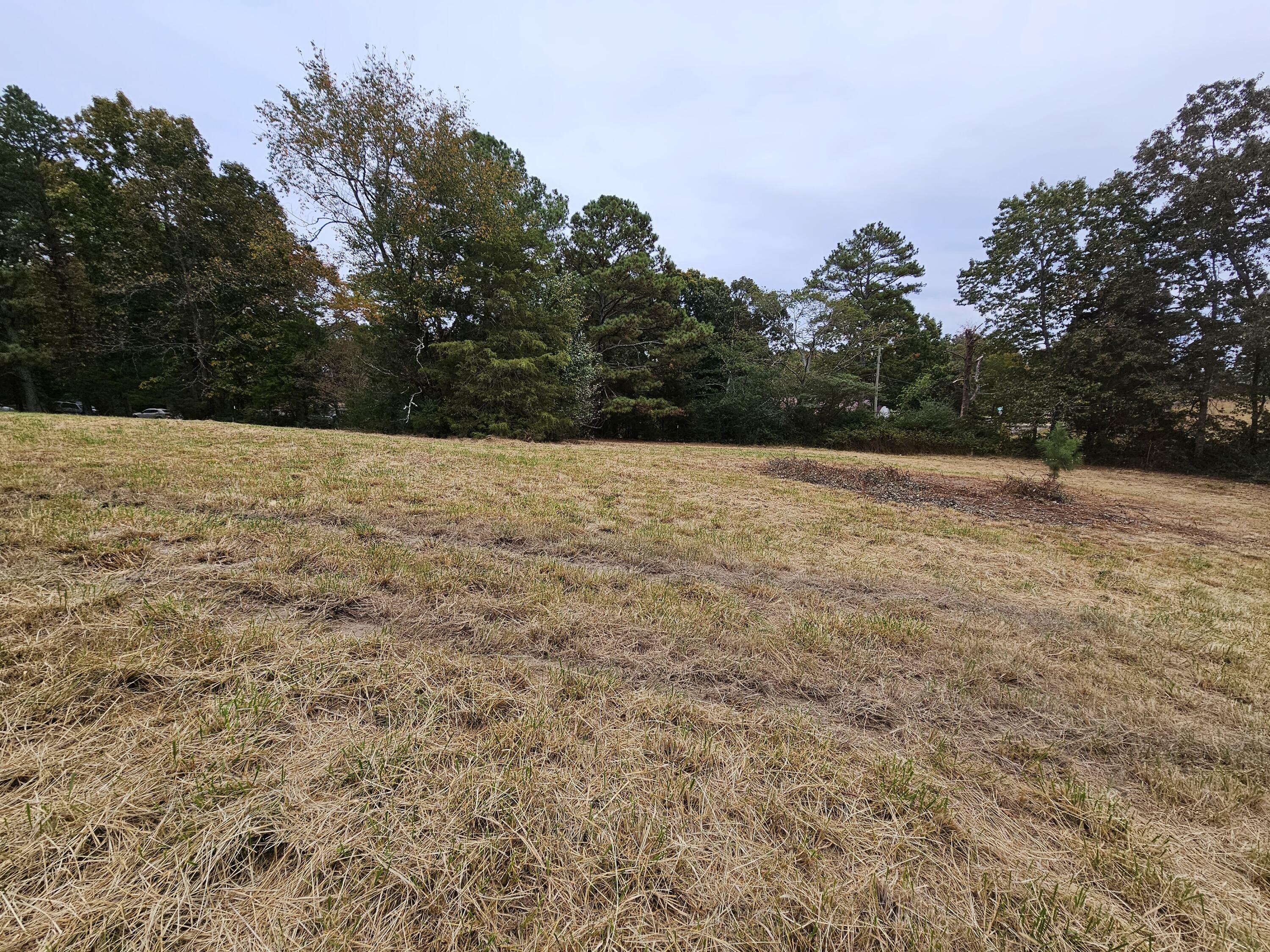 Property Photo:  Lot 20 Wilkinson Road NE  TN 37323 