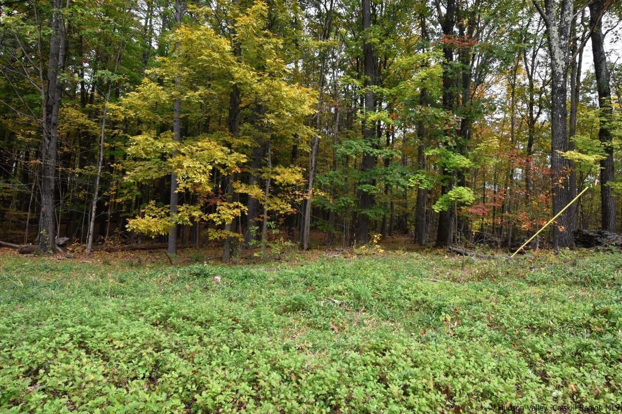 Property Photo: Tbd Grove NY 12413