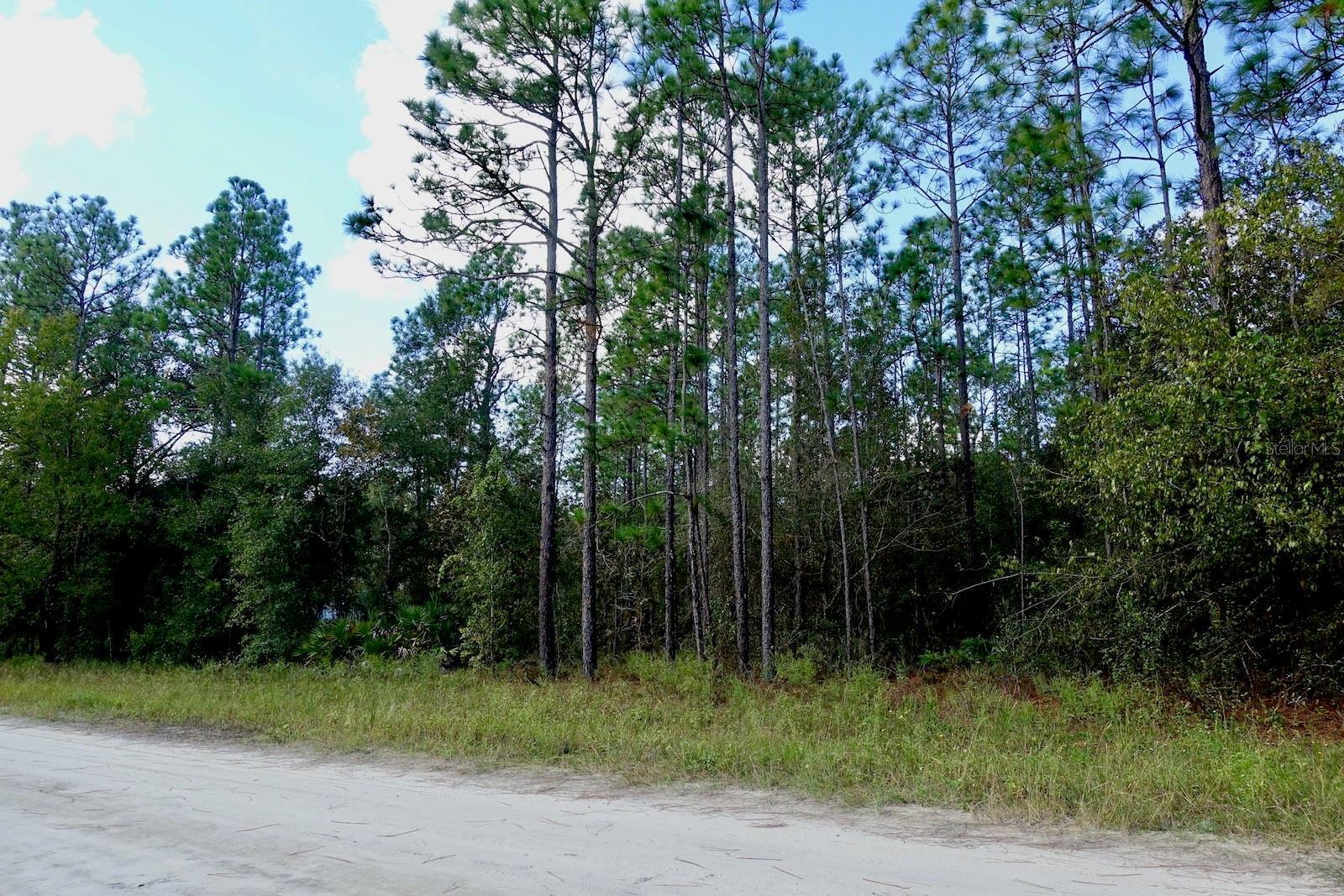 Property Photo:  Tbd SW 121 Terrace  FL 34481 