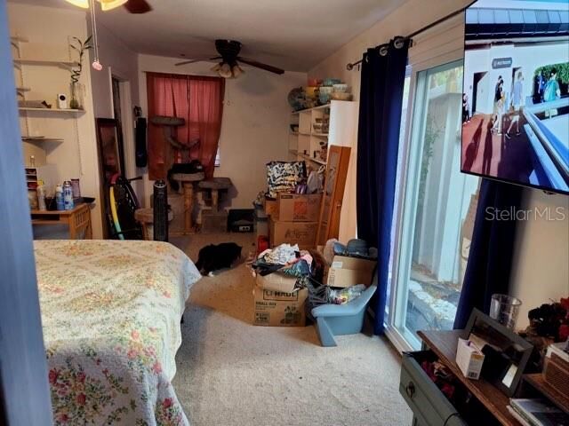 Property Photo:  1400 Bay Palm Boulevard  FL 33785 