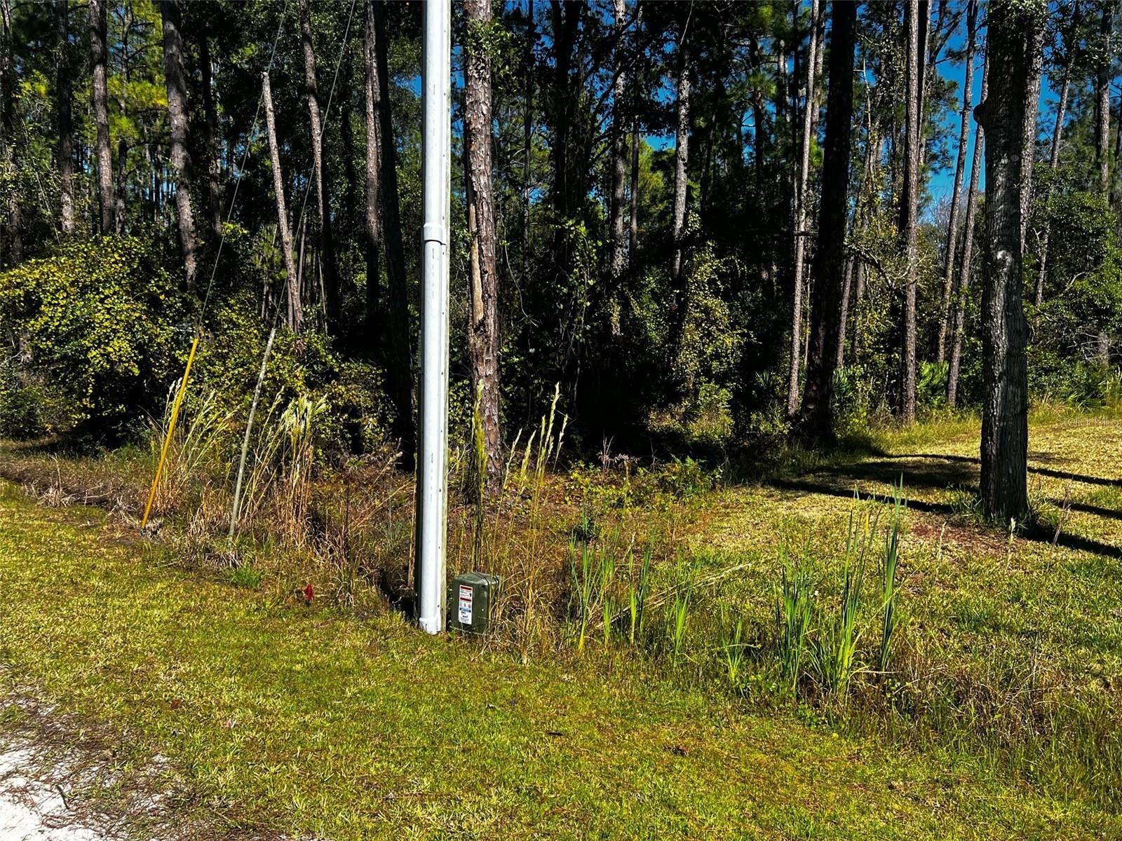 Property Photo:  East Parkway  FL 32724 