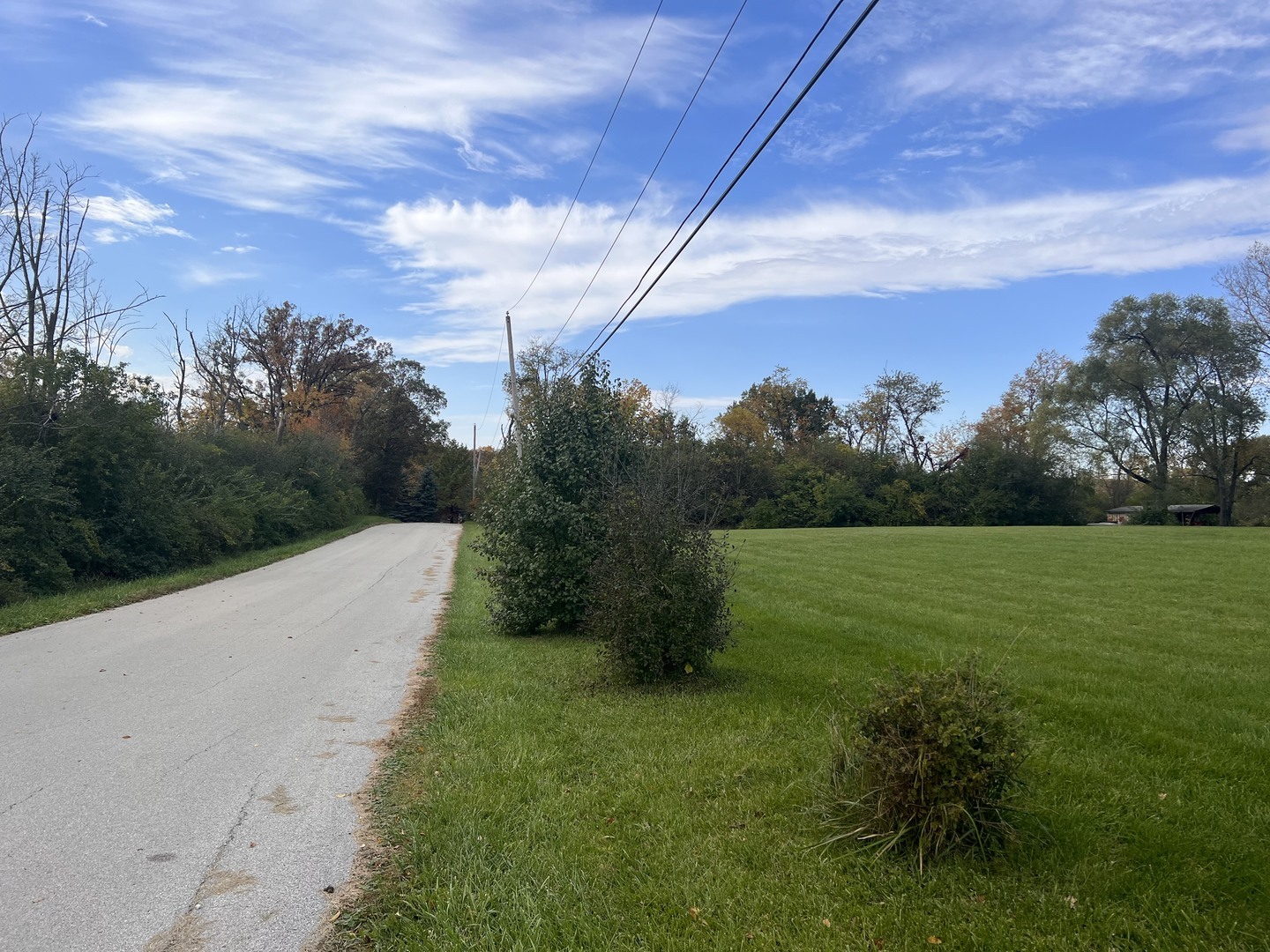 Property Photo:  14755 W Hickory Avenue  IL 60439 