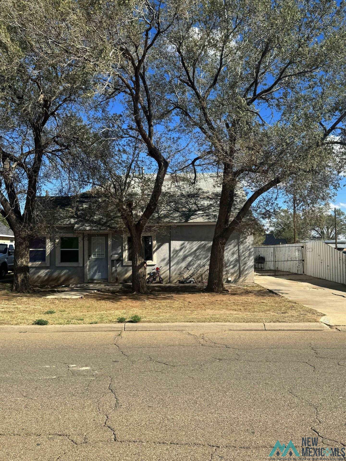 Property Photo: 815 Cameo NM 88101