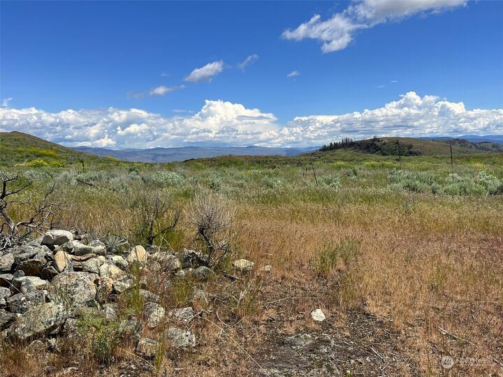 Property Photo:  836 Tbd  Ellemeham Mountain Road  WA 98844 