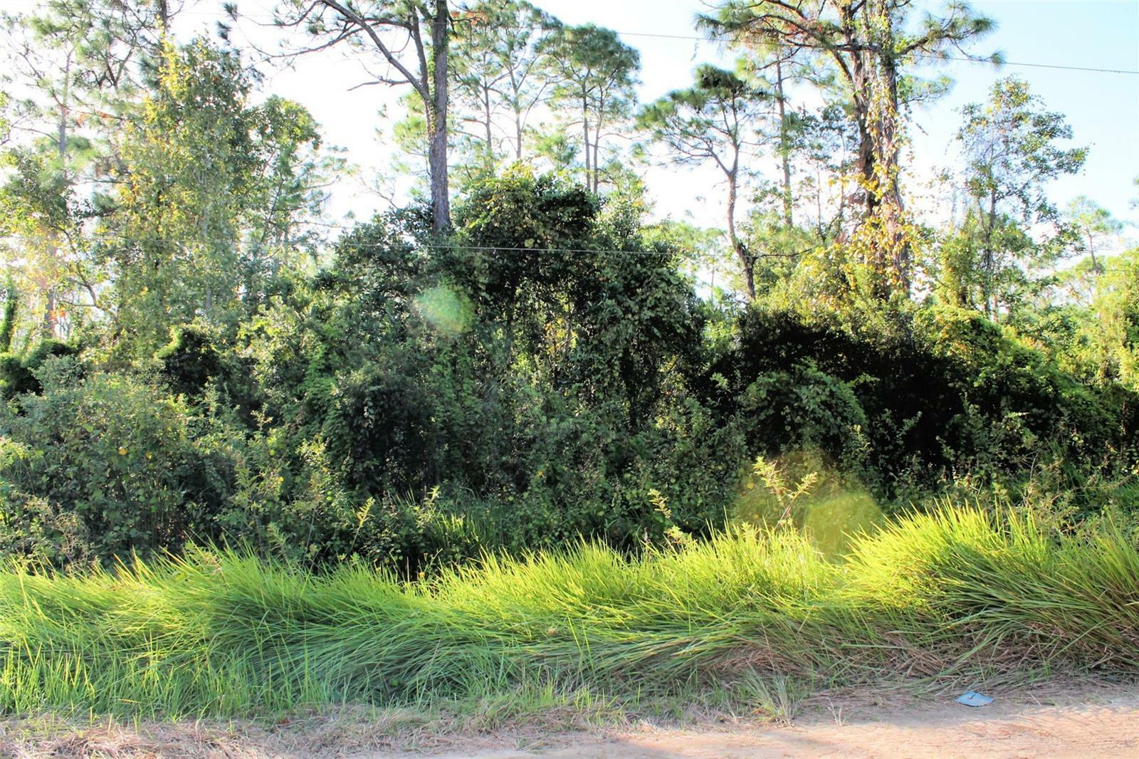 Property Photo: 7712 Amy Carter Court FL 33898