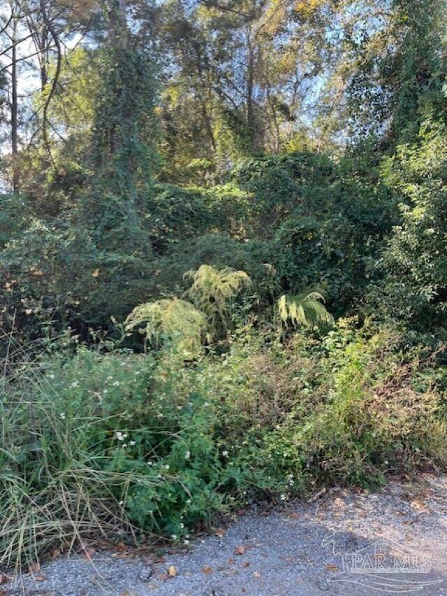 Property Photo: 00 Gillis Rd FL 32583