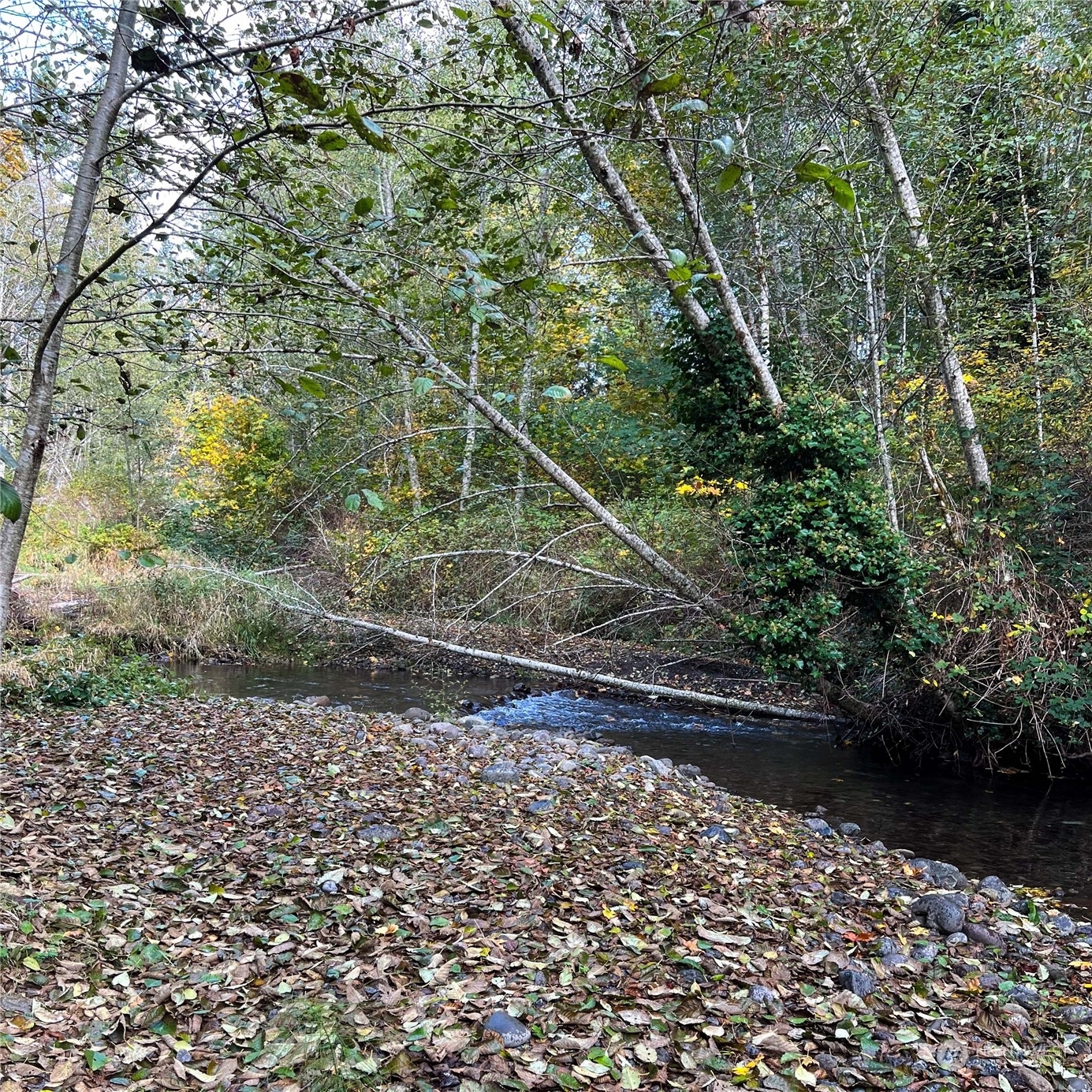 Property Photo:  0  Wildwood Road  WA 98376 