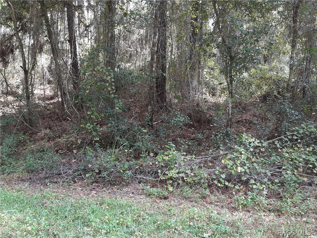 Property Photo:  8805 N Ramble Point  FL 34434 