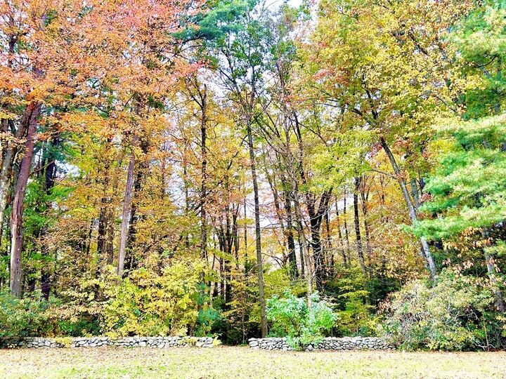 Property Photo:  37 Donald Ave  MA 01520 