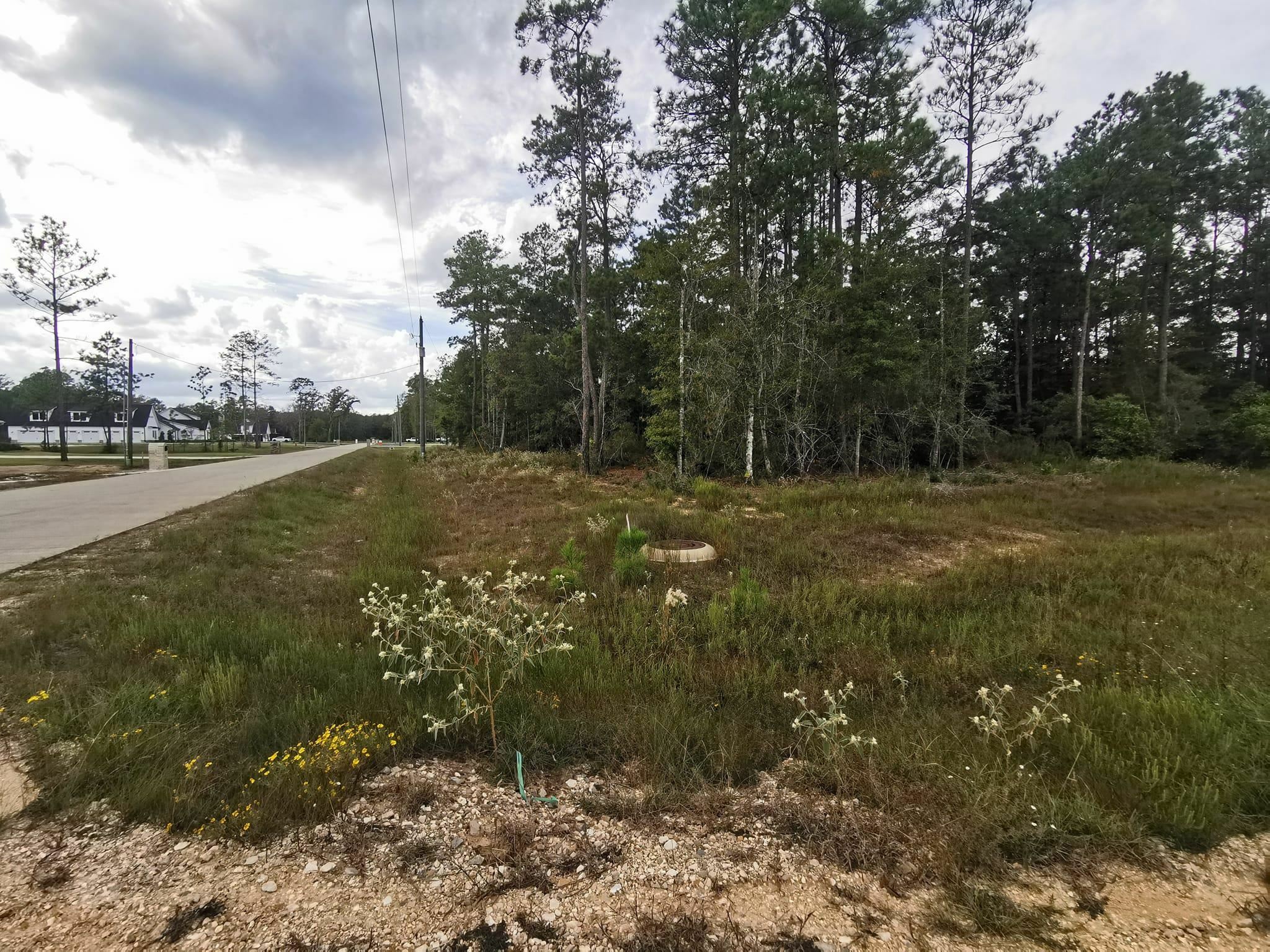 Property Photo:  6885 Empire Way  TX 77657 
