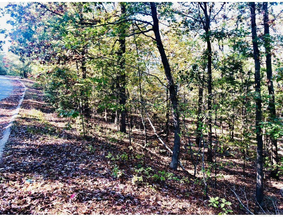 Property Photo:  Lot 10 Norfork Drive  AR 72113 