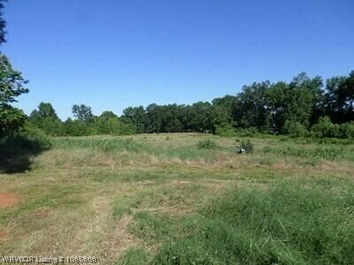 Property Photo:  25 Acres +/- 6th Place  AR 72823 