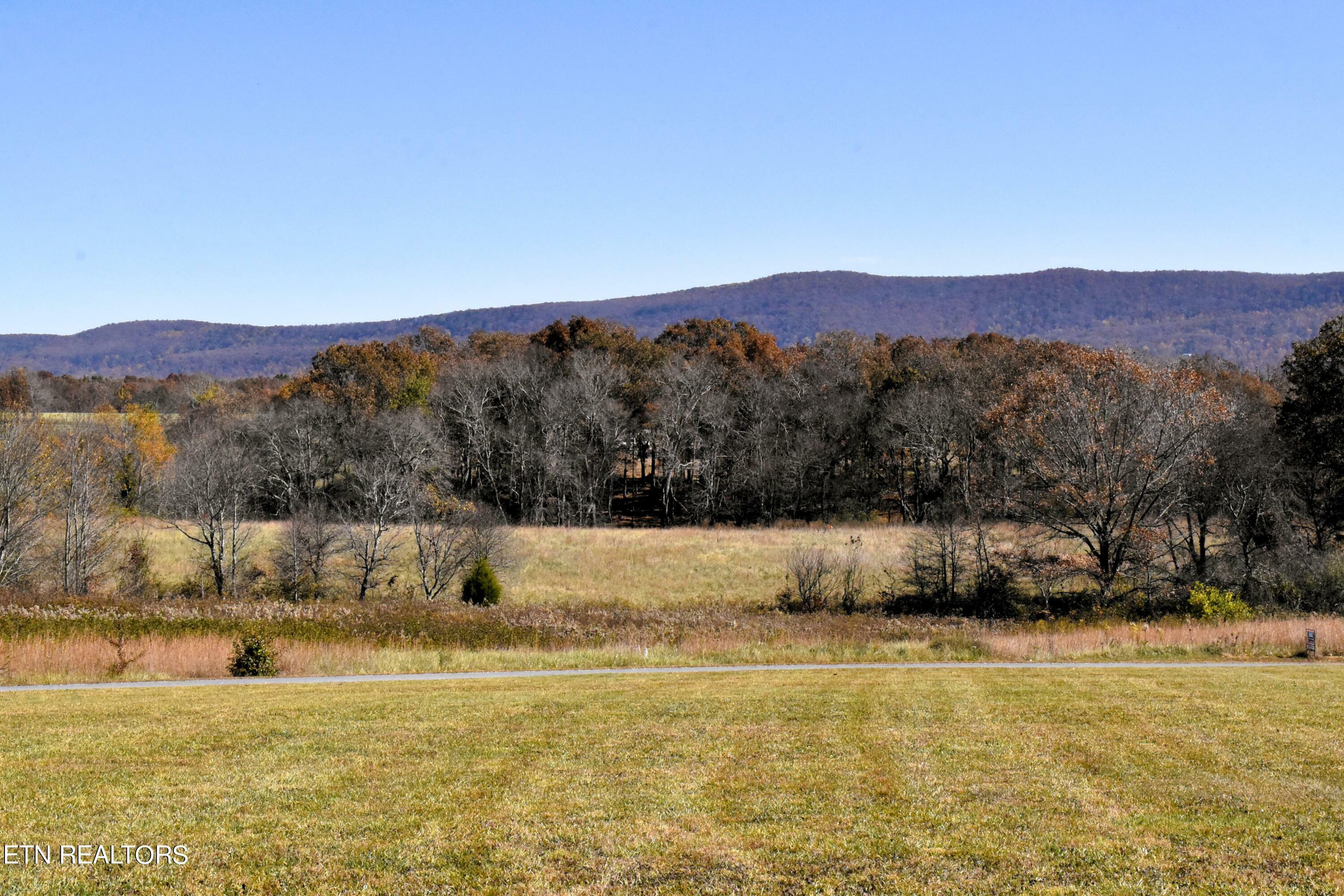 Property Photo:  Shadow Mountain Drive  TN 38572 